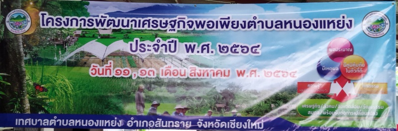 โครงการพัฒนาเศรษฐกิจพอเพียงตำบลหนองแหย่ง 