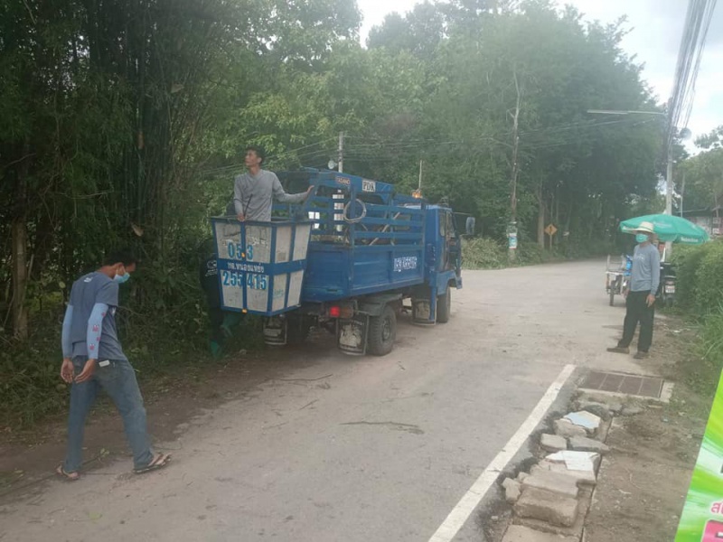 ตัดกิ่งไม้หมู่ที่ 8 ป้องกันการหักโค่นโดนสายไฟฟ้าช่วงฤดูฝน