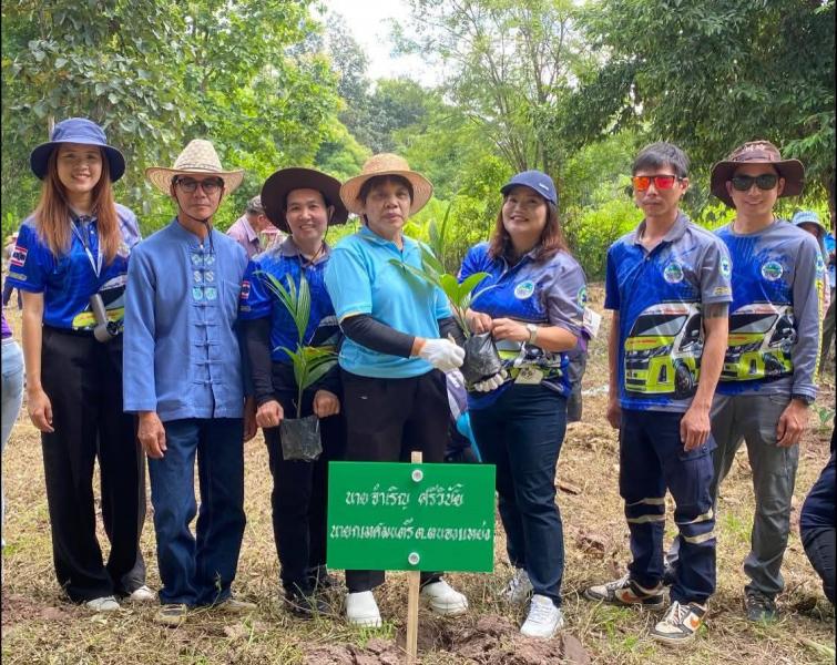 โครงการปลูกหมากวันเฉลิมพระชนมพรรษาสมเด็จพระนางเจ้าสิริกิติ์พระบรมราชินีนาถ  พระบรมราชชนนีพันปีหลวง