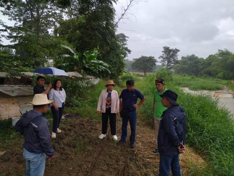 ลงพื้ที่สำรวจจุดวัดพืชลำน้ำหมู่ที่ 3