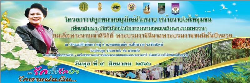 เทศบาลตำบลหนองแหย่ง เข้าร่วม "โครงการปลูกหมากอนุรักษ์สันทราย สร้างรายได้ให้ชุมชน"