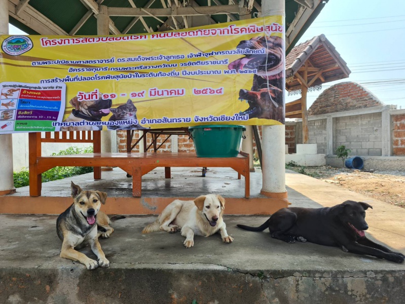 โครงการสัตว์ปลอดโรค คนปลอดภัยจากโรคพิษสุนัขบ้า ประจำปี 2564