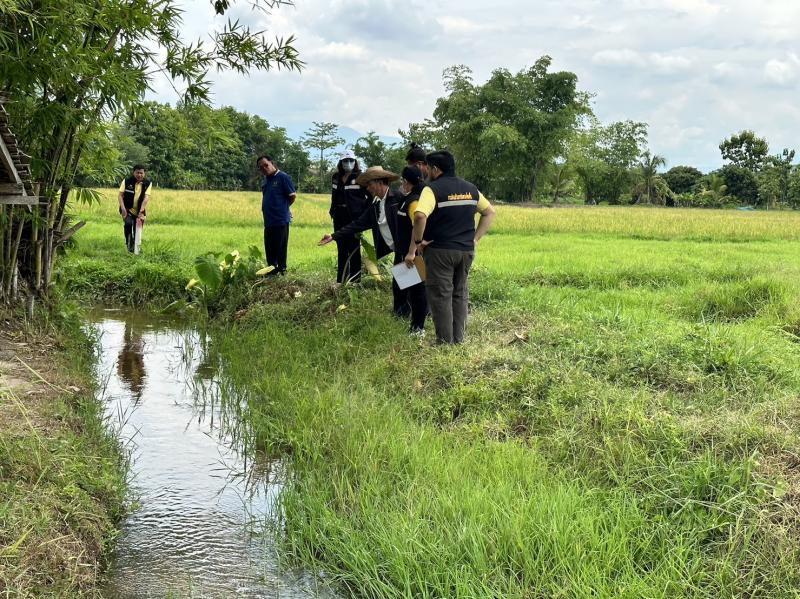 เทศบาลตำบลหนองแหย่ง ลงพื้นที่ตรวจสอบแนวเขตลำเหมืองสาธารณะ และที่ชายตลิ่งที่สาธารณะเพื่อป้องกันการบุกรุกที่สาธารณะ ในพื้นที่ เขต 2
