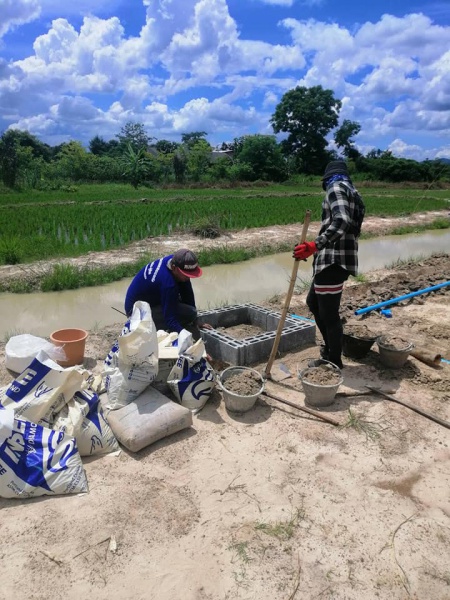 หน่วยบริการประชาชน (26 ส.ค. 64) ลงพื้นที่ หมู่ 4
