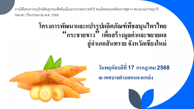 เทศบาลตำบลหนองแหย่ง เข้าร่วม โครงการพัฒนาและแปรรูปผลิตภัณฑ์พืชสมุนไพรไทย “กระชายขาว” เพื่อสร้างมูลค่าและขยายผล สู่อำเภอสันทราย จังหวัดเชียงใหม่