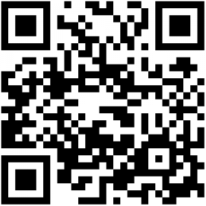E-Service